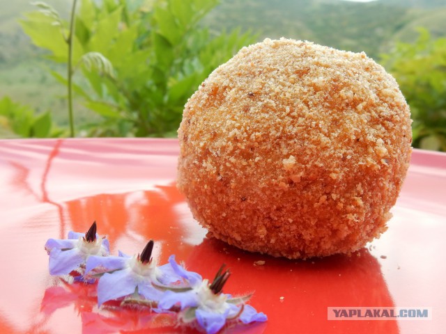 Фастфуд-пикник на день рождения ЯПа