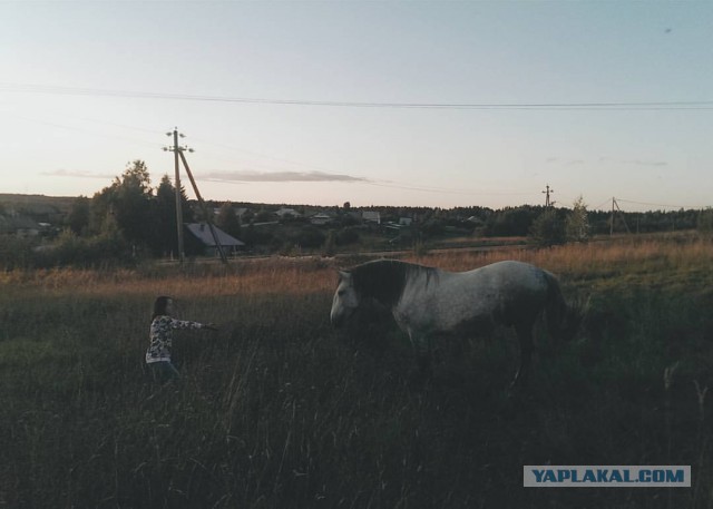 Подборка "тёплых, уютных, домашних" фотографий