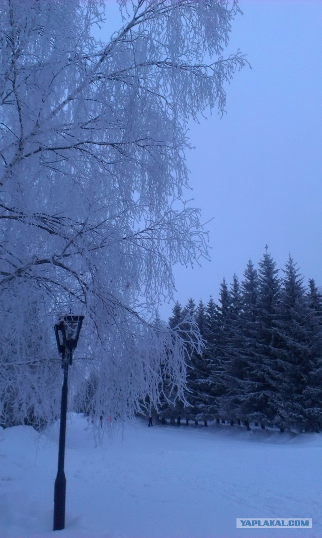 Жизнь как она есть 2