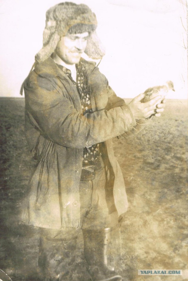 Таймыр. 1980 год.
