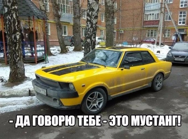 Подборка безудержного веселья
