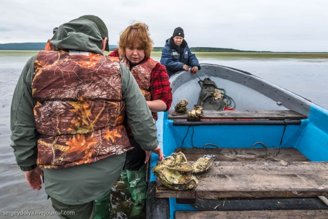 «Виноваты москвичи»: на Сахалине назревает экологическая катастрофа