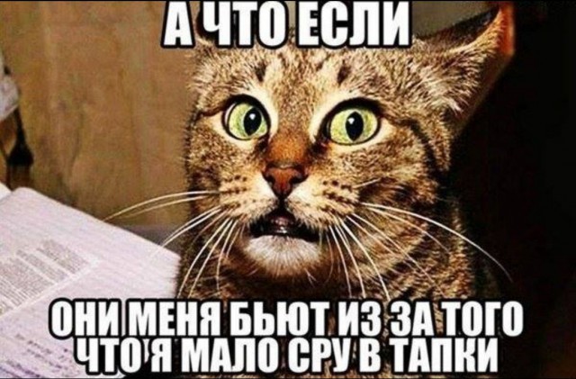 Воскресенье-е-е... Улыбаемся и машем!