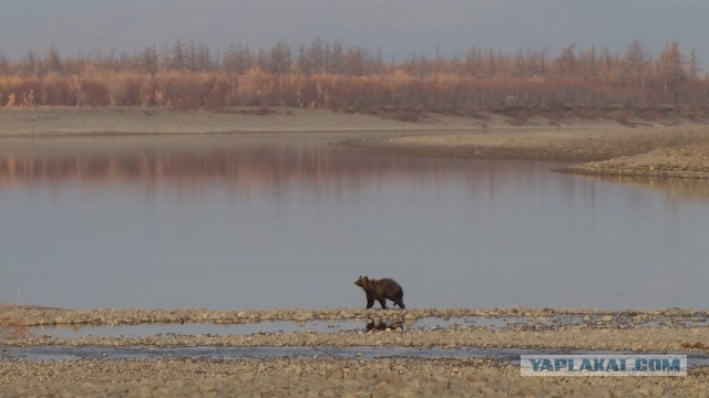 Плато Путорана