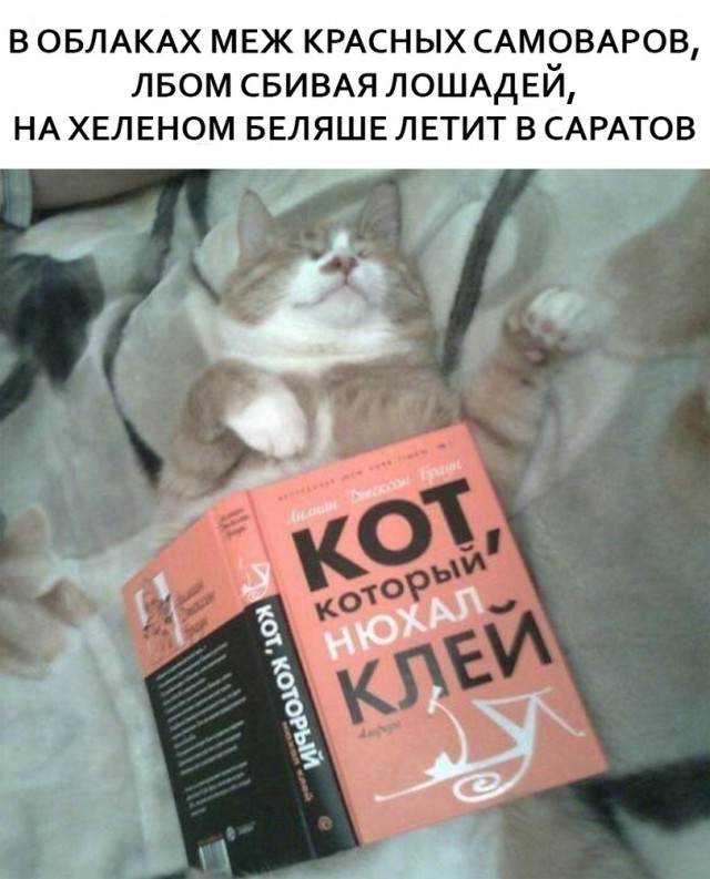 Нестандартный юмор