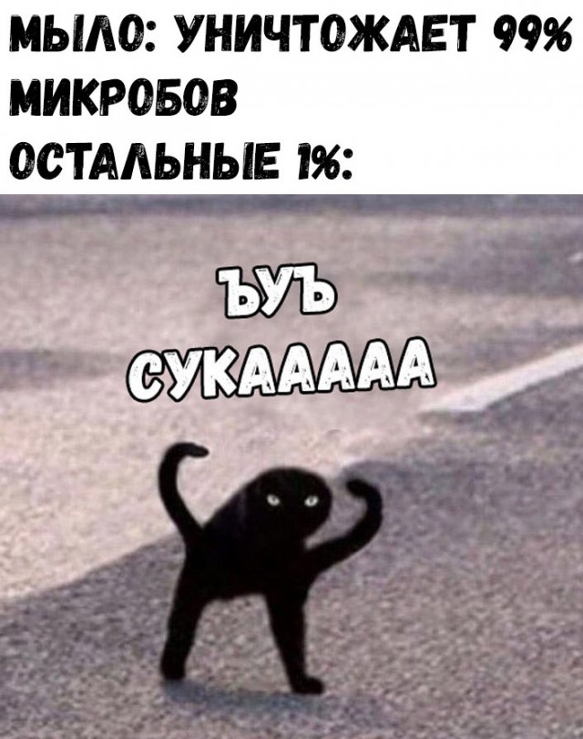 Нестандартный юмор