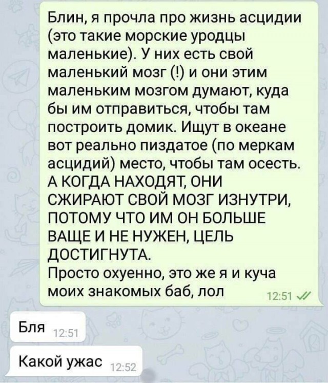 Куда катится жизнь