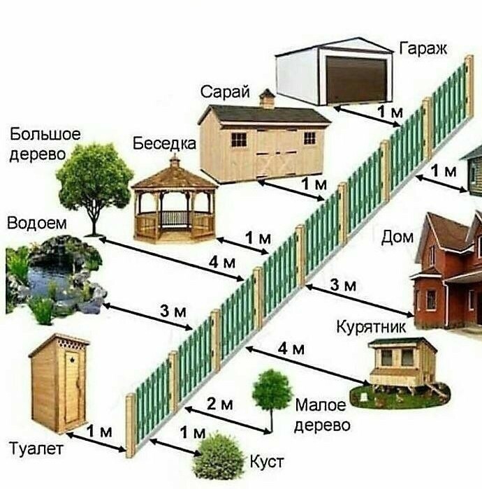 Можно ли сорвать яблоко с ветки, которая перевесилась на мой участок?