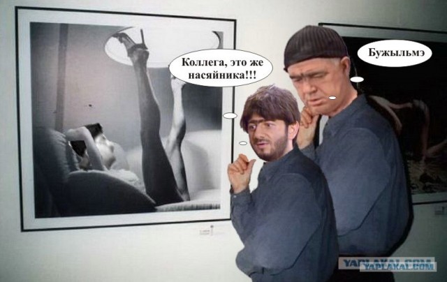 Фотожаба: Молодой ценитель