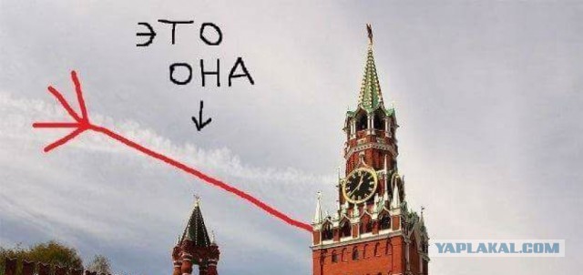 Лукашенко: Отравление Навального - фальсификация