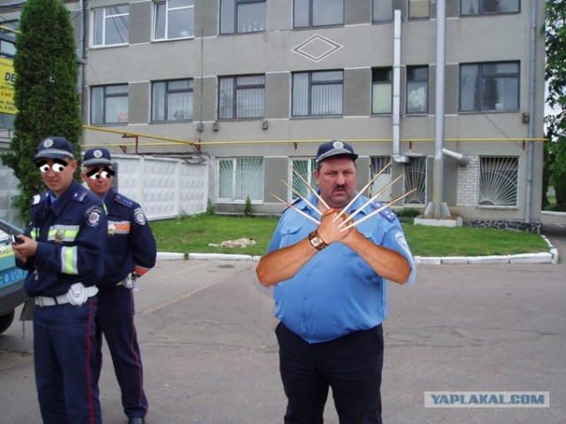 Фотожаба:На связи