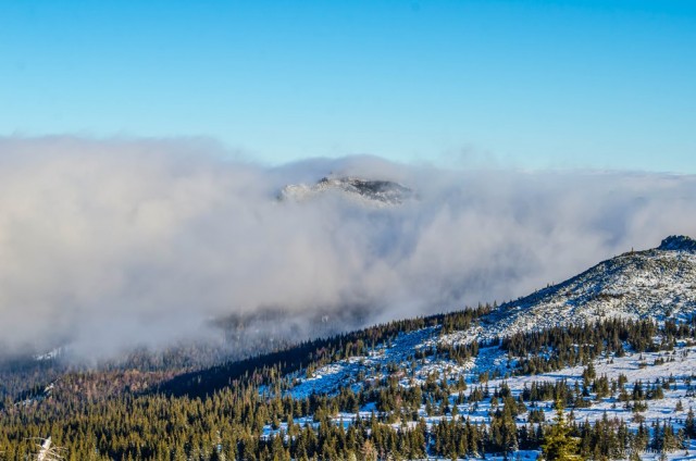 Где-то на Урале лес заменяет людям небо
