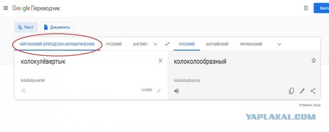 Зеленскому запретили использовать русский язык