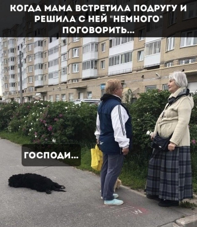 Картинки и мемы для настроения 015