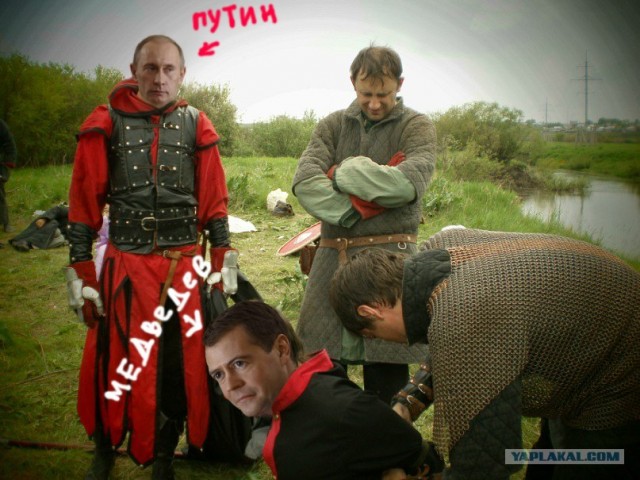 Ролевые жабы