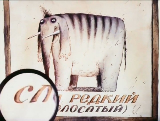 В Петербурге плотник украл 50 черепов животных из Зоологического института, которые потом продал десятикласснику одной из школ
