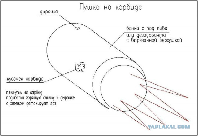 Впереди выходные! Ностальгнем о добрых моментах, когда трава была зеленее!