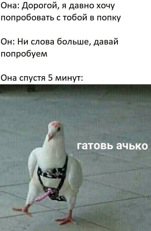 Весёлый полтишок 22.03