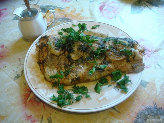 Все из рыбы!