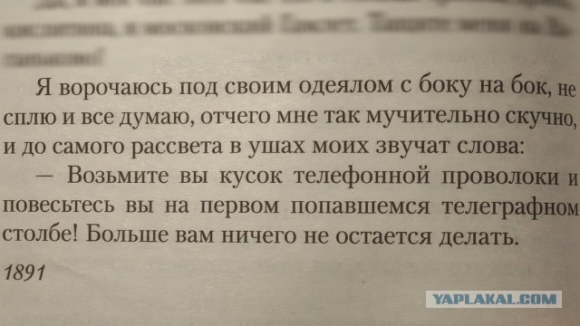 Свинегрет: картинки, надписи и прочее "на", №33