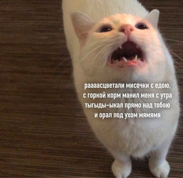 Всяческие картинки 26.11.2021