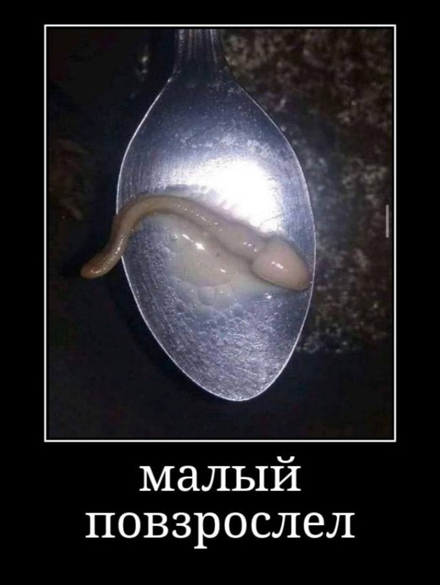 аморальный это