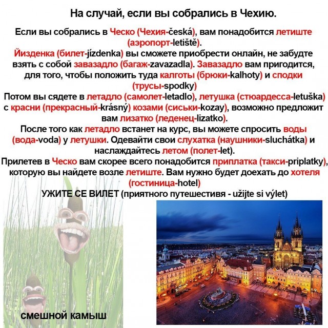 Чешский язык такой интересный
