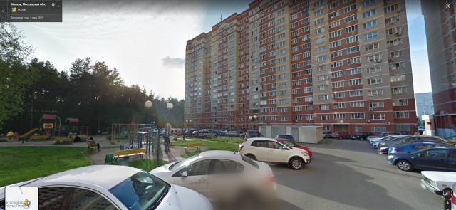 Народный сход против бездействия властей и уничтожения Троицкого леса в Новой Москве