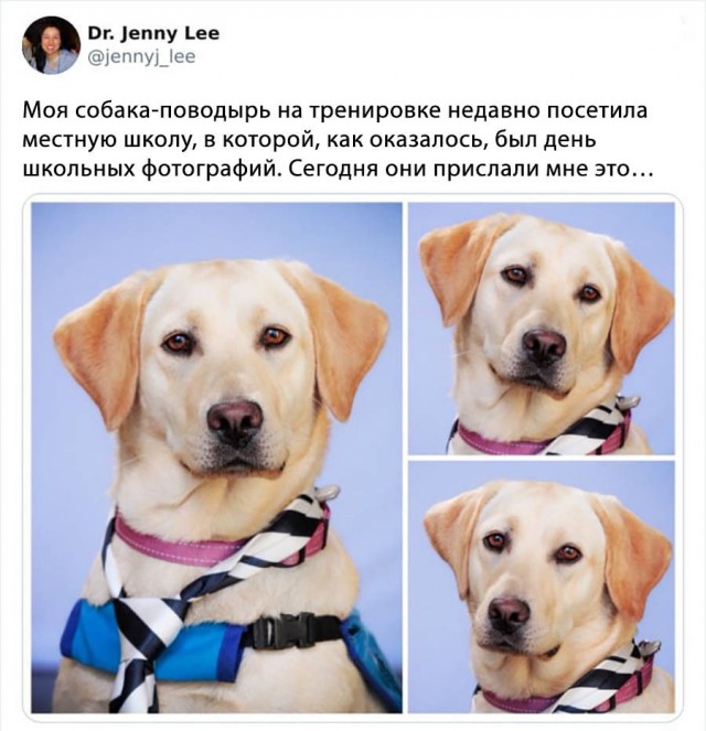 Картинки и мемы, начало праздников