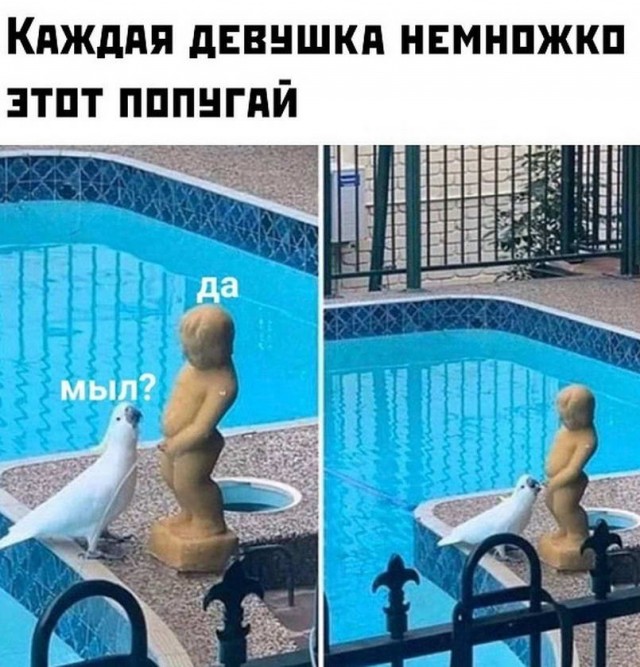Пятница. И немного слегка пошлых картинок с надписями и без 16+ (13.05)