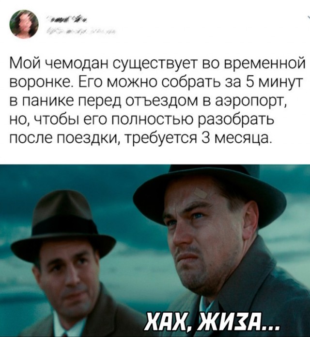 Весёлый полтишок 23.08.22