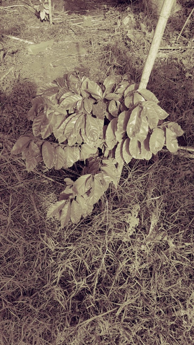 Немного отдыхательских фотокарточек на понедельник