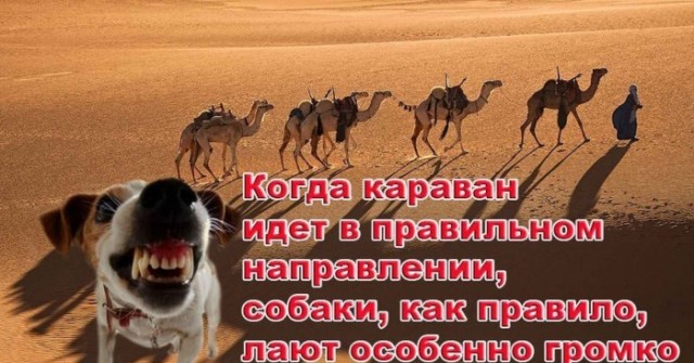 Путин выступил с новогодним обращением к россиянам на фоне военных