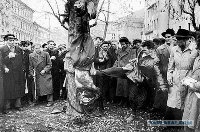 Самосуд в Египте