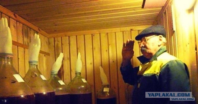Юмор категории Б(аяны)