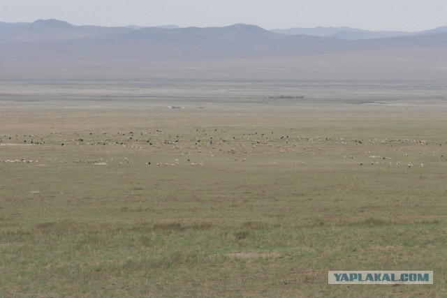 В Монголию на мотоциклах 2006