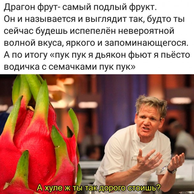 Весёлый полтишок 25.04.23
