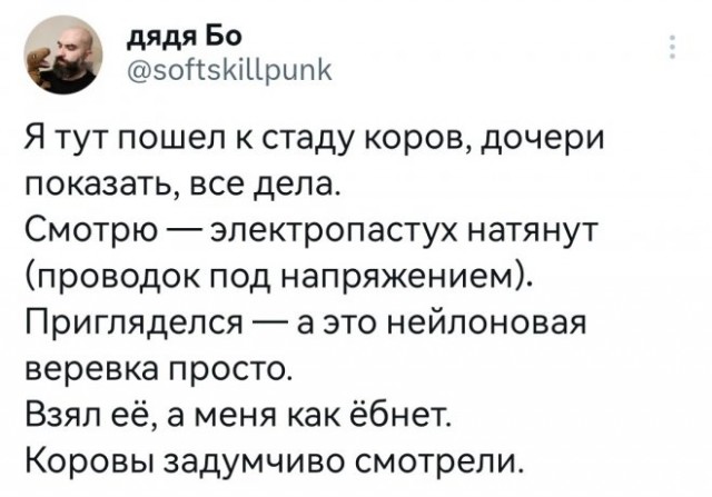 Картинки и мемы для настроения - 181