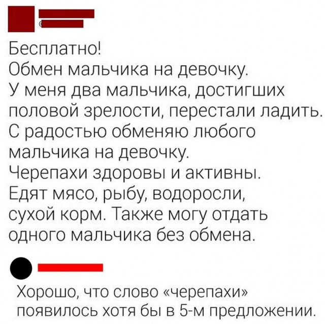 Весёлый полтишок 28.09.23