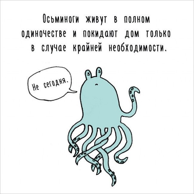 Бояны 8-ми летней выдержки
