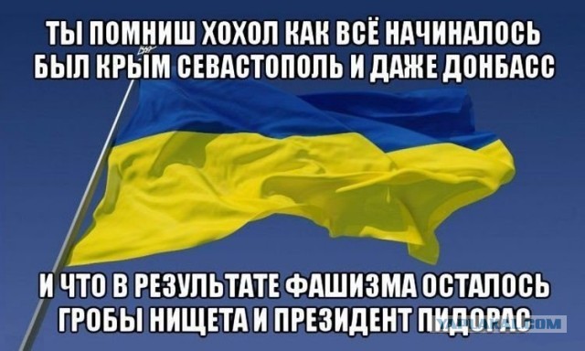 На фоне экстремально низких температур замерзают европейские города