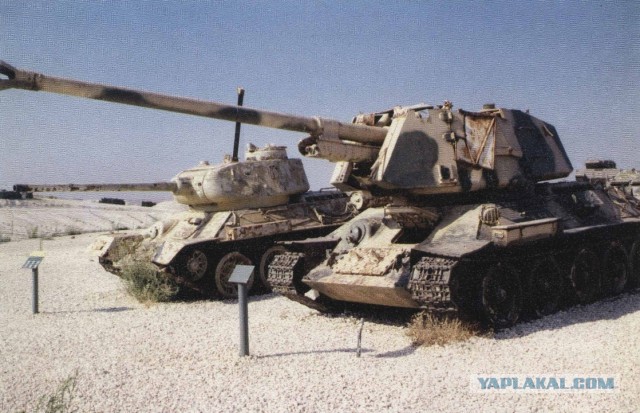 Wargaming 5