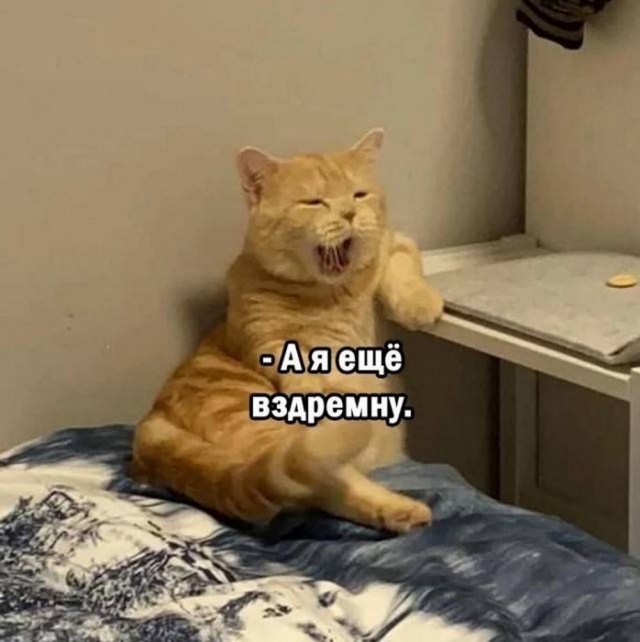 Быстрая деградация