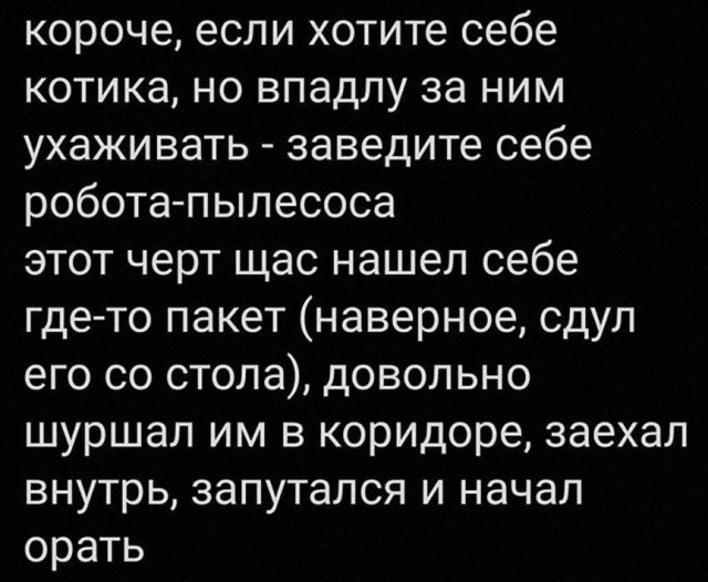 Так себе картинки 23.09.24