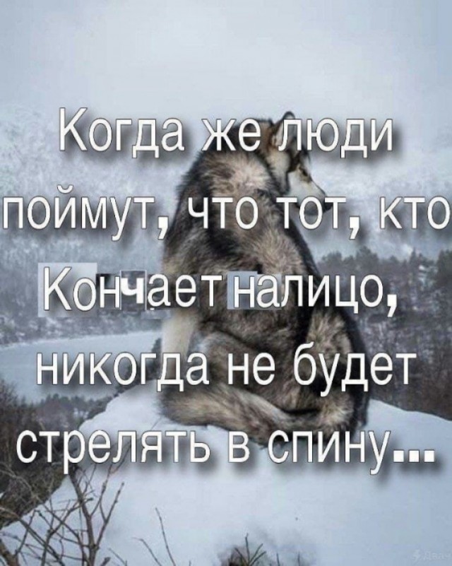 Веселые картинки в понедельник (11.11)