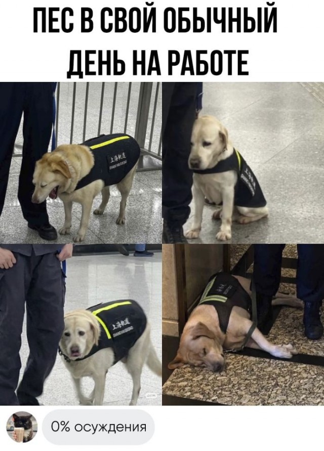 Картинки разные с надписями и без