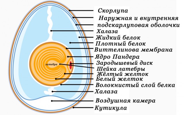 Високосный год ушел...