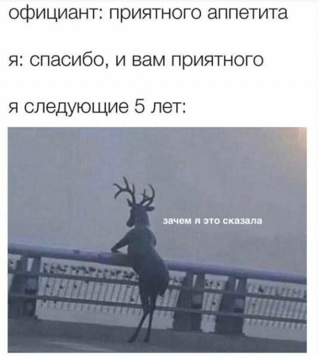Веселые картинки в пятницу (10.01)