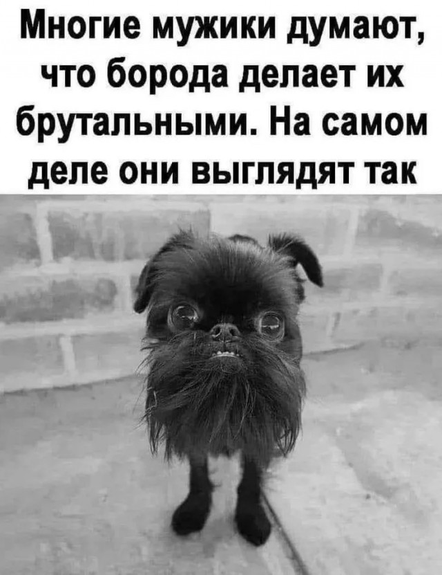 Немного забавных картинок от 19.01.2025
