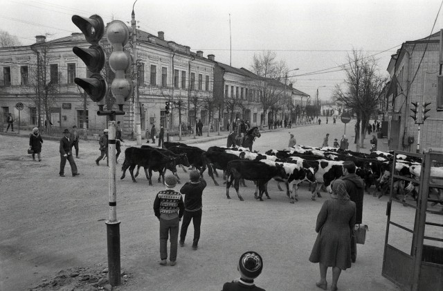 Без фильтров–3. Любительская фотография 80-х 21.02.25